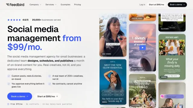 Feedbird homepage screenshot